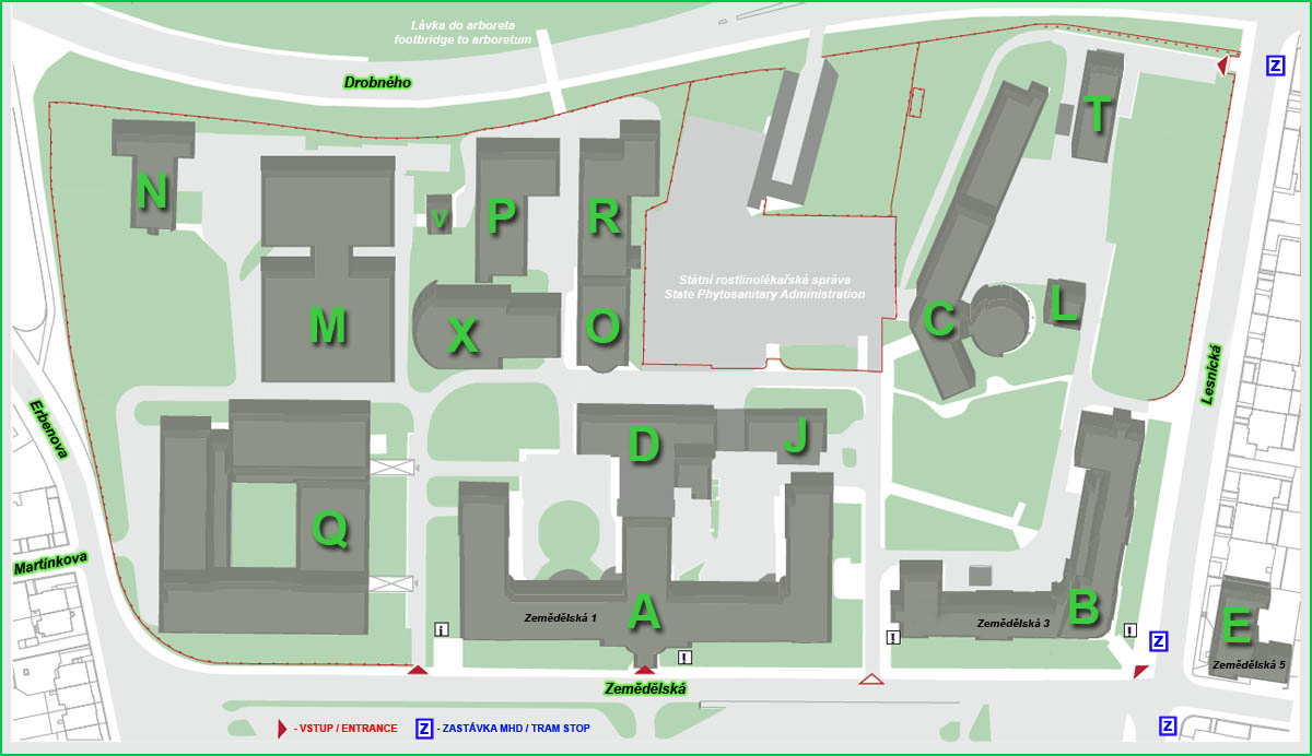 Study in brno picture